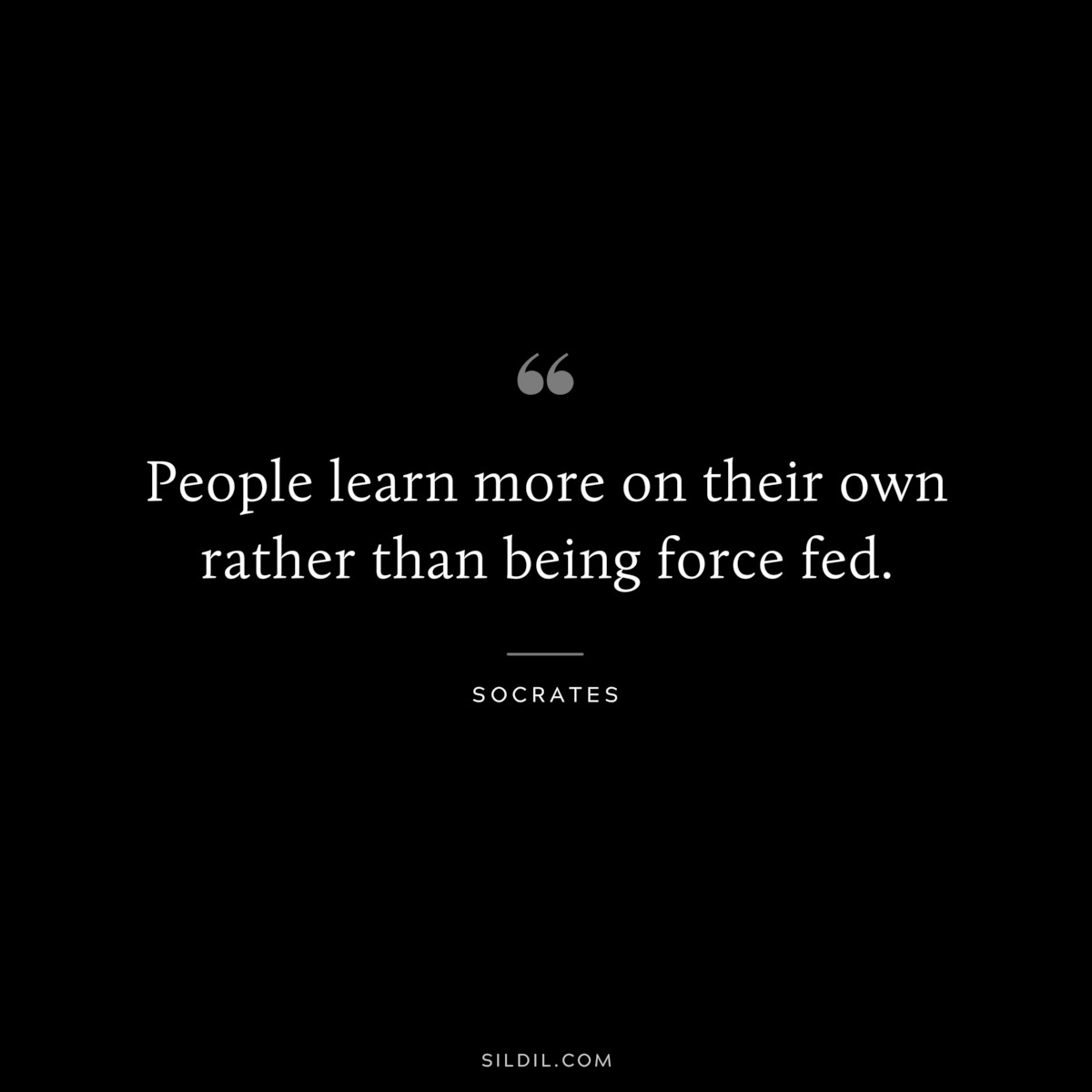 People learn more on their own rather than being force fed. ― Socrates