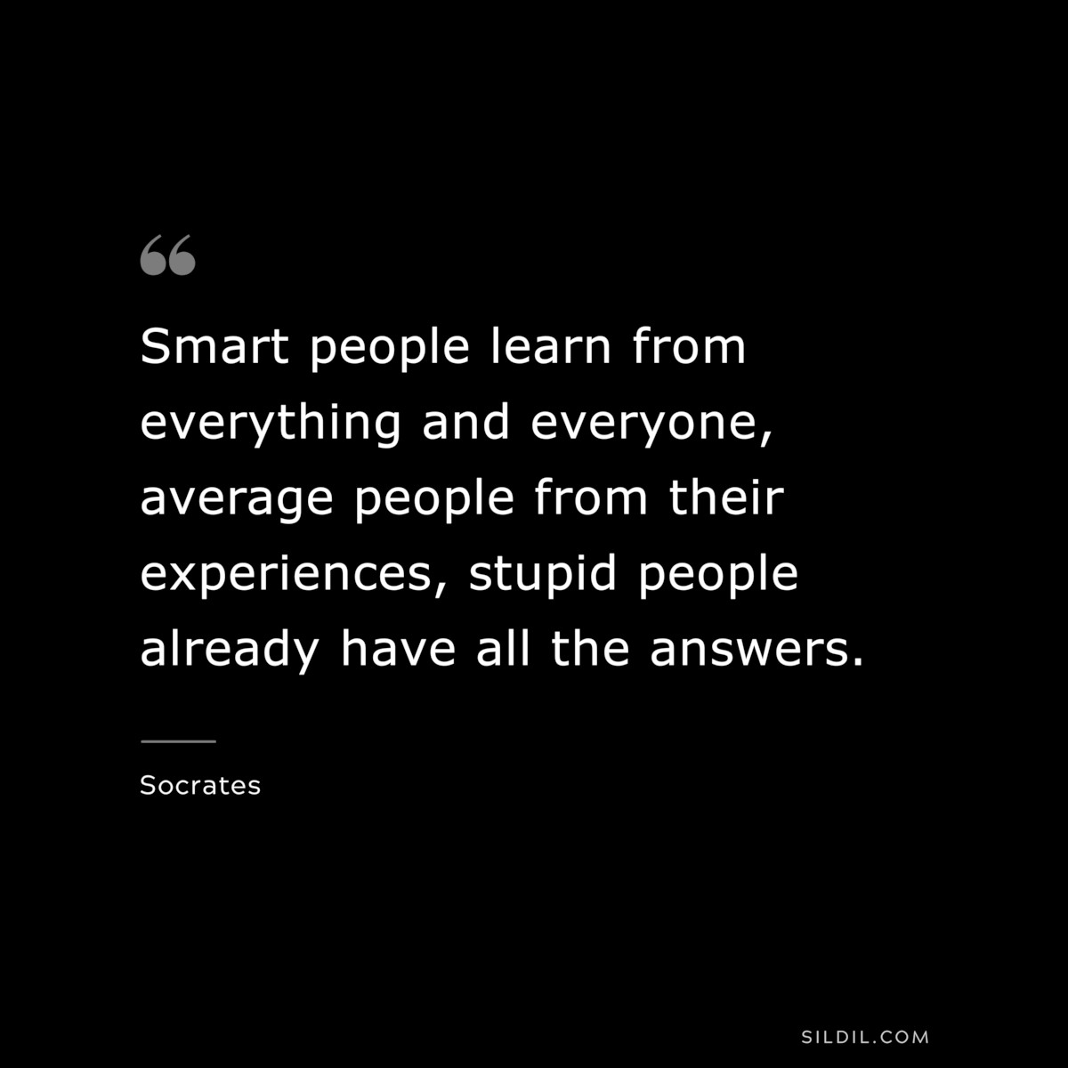 Smart people learn from everything and everyone, average people from their experiences, stupid people already have all the answers. ― Socrates
