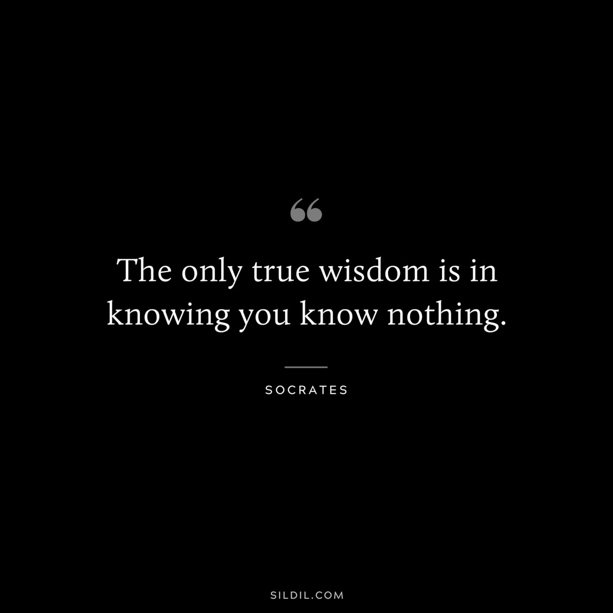 The only true wisdom is in knowing you know nothing. ― Socrates