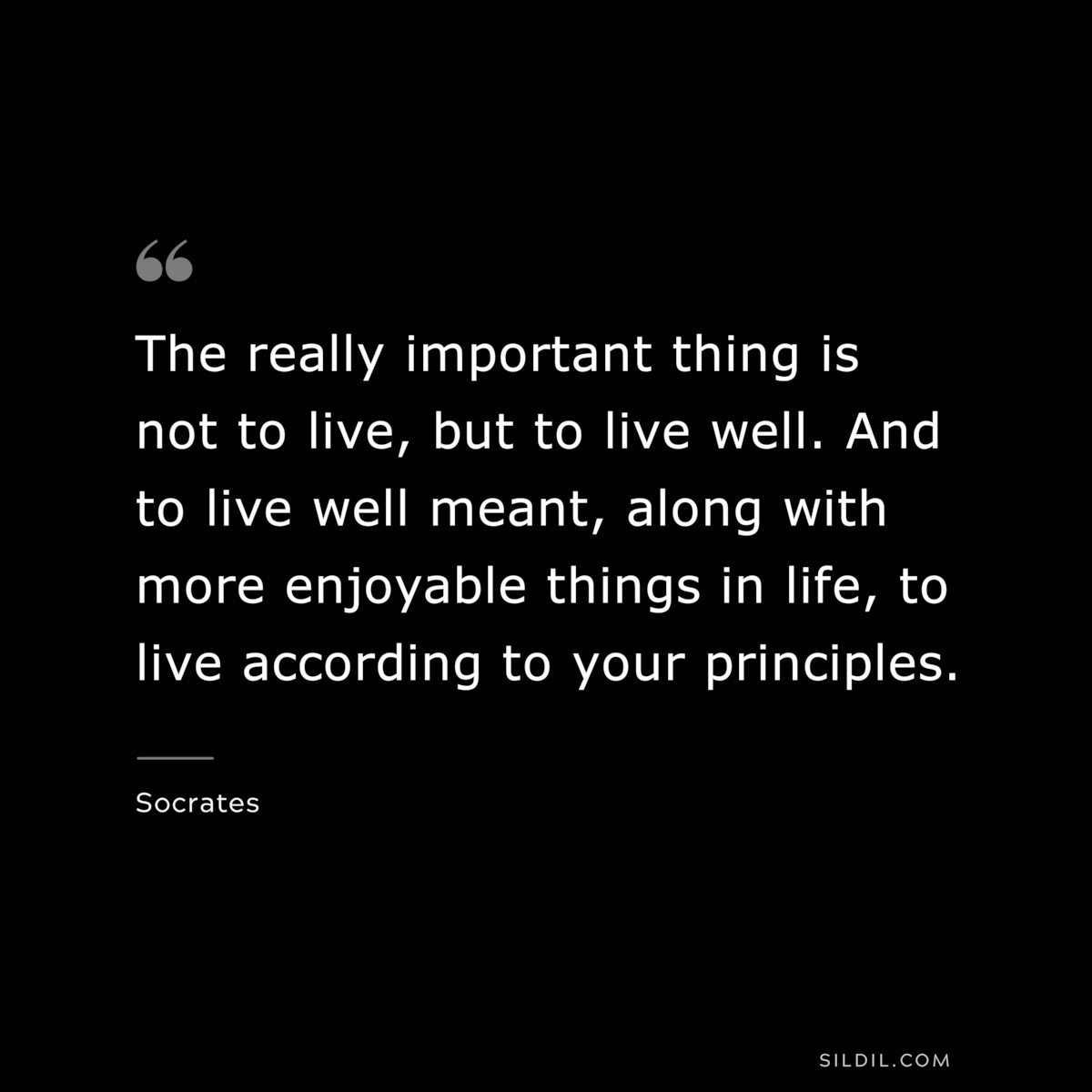 The really important thing is not to live, but to live well. And to live well meant, along with more enjoyable things in life, to live according to your principles. ― Socrates
