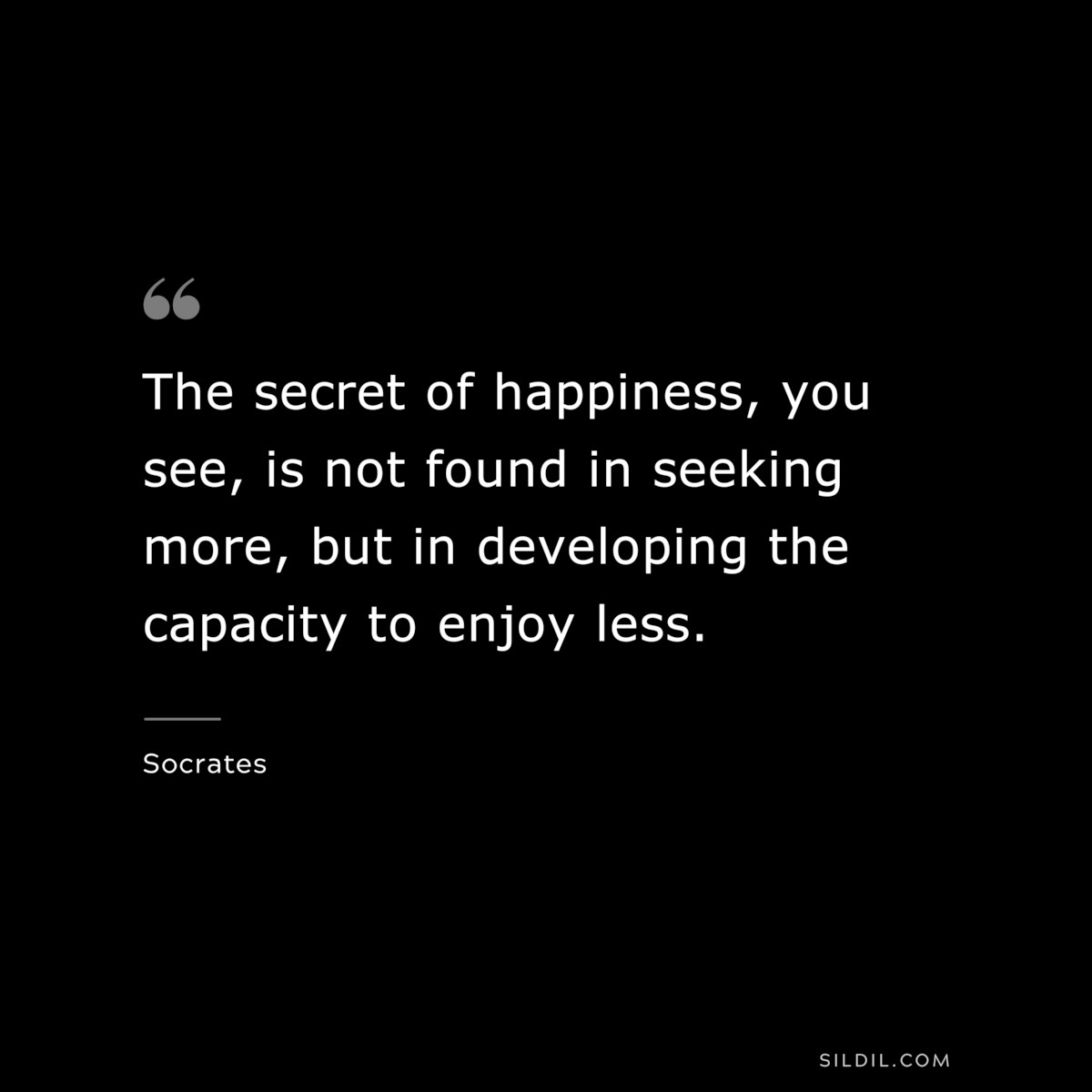 The secret of happiness, you see, is not found in seeking more, but in developing the capacity to enjoy less. ― Socrates