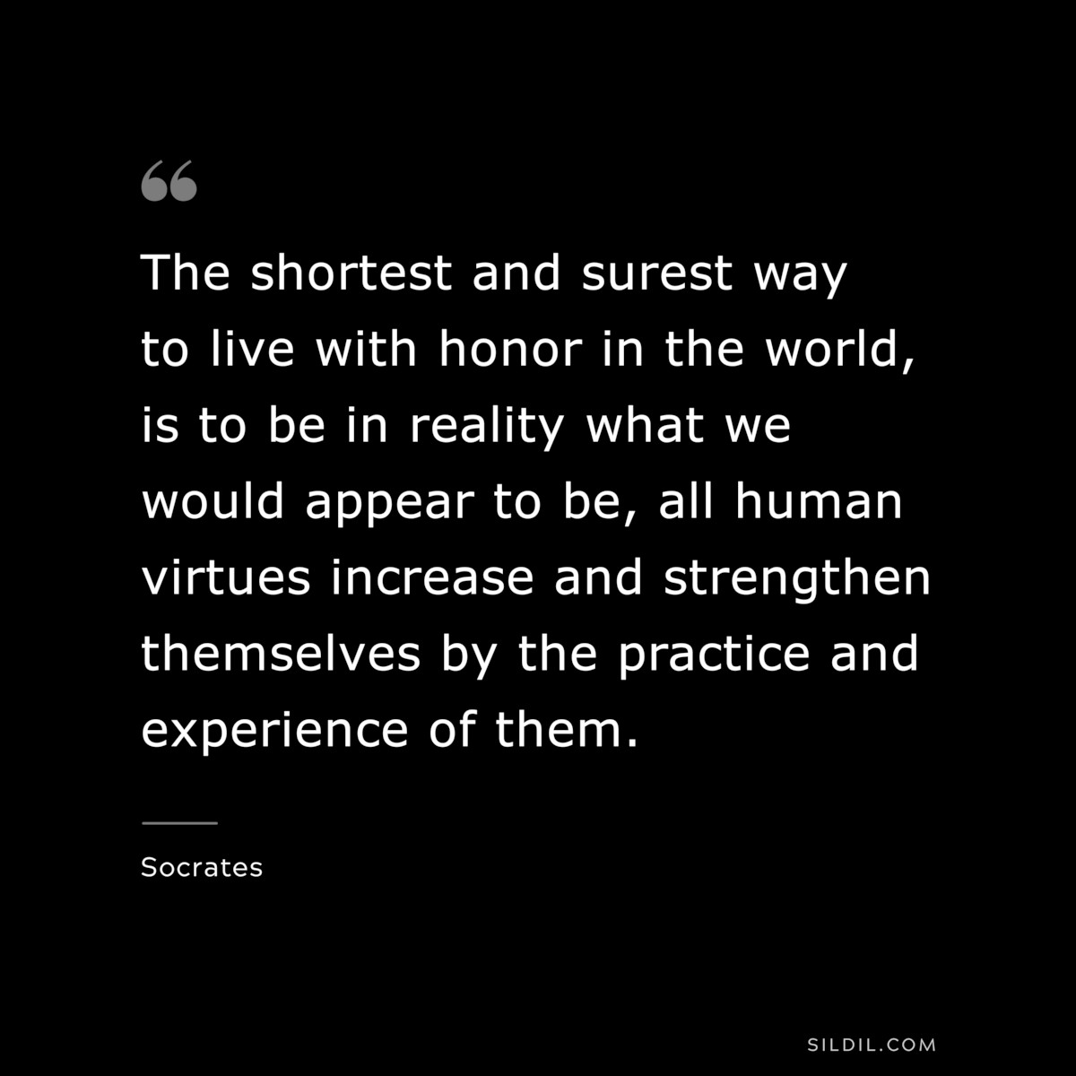 The shortest and surest way to live with honor in the world, is to be in reality what we would appear to be, all human virtues increase and strengthen themselves by the practice and experience of them. ― Socrates