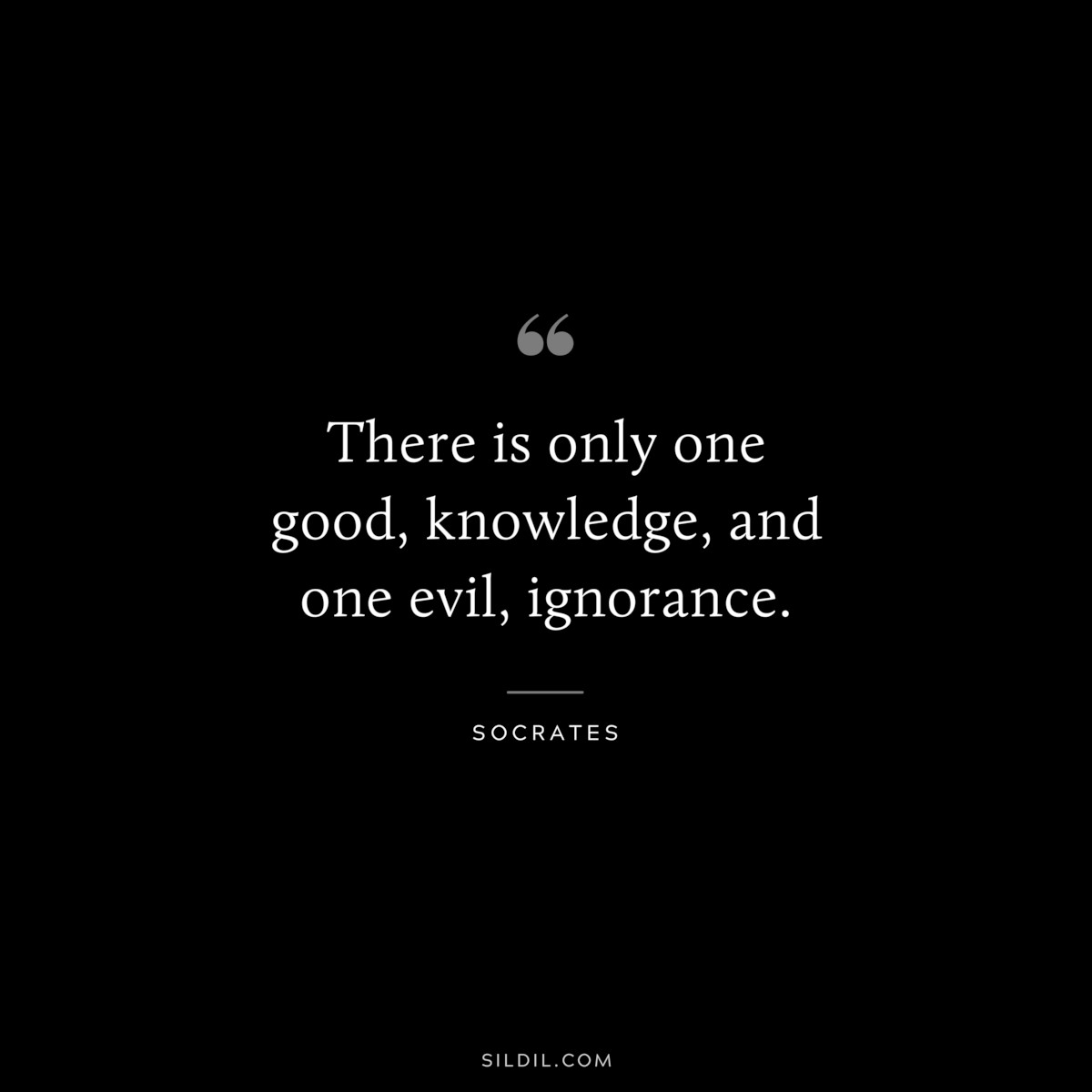 There is only one good, knowledge, and one evil, ignorance. ― Socrates