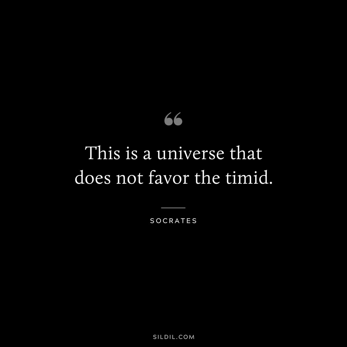 This is a universe that does not favor the timid. ― Socrates