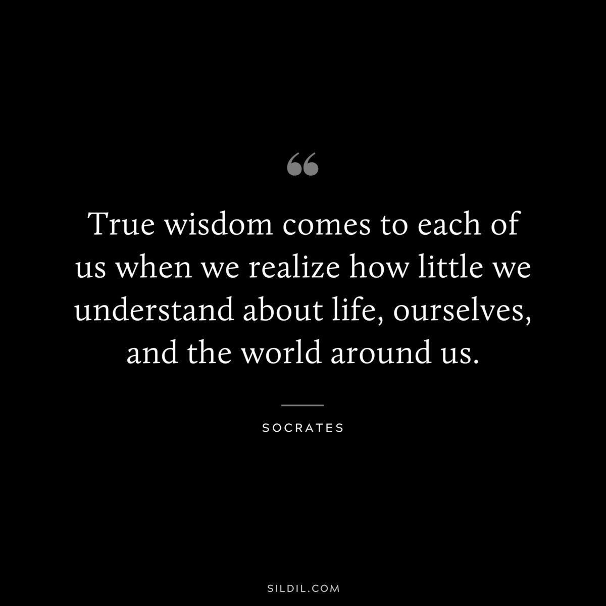 True wisdom comes to each of us when we realize how little we understand about life, ourselves, and the world around us. ― Socrates