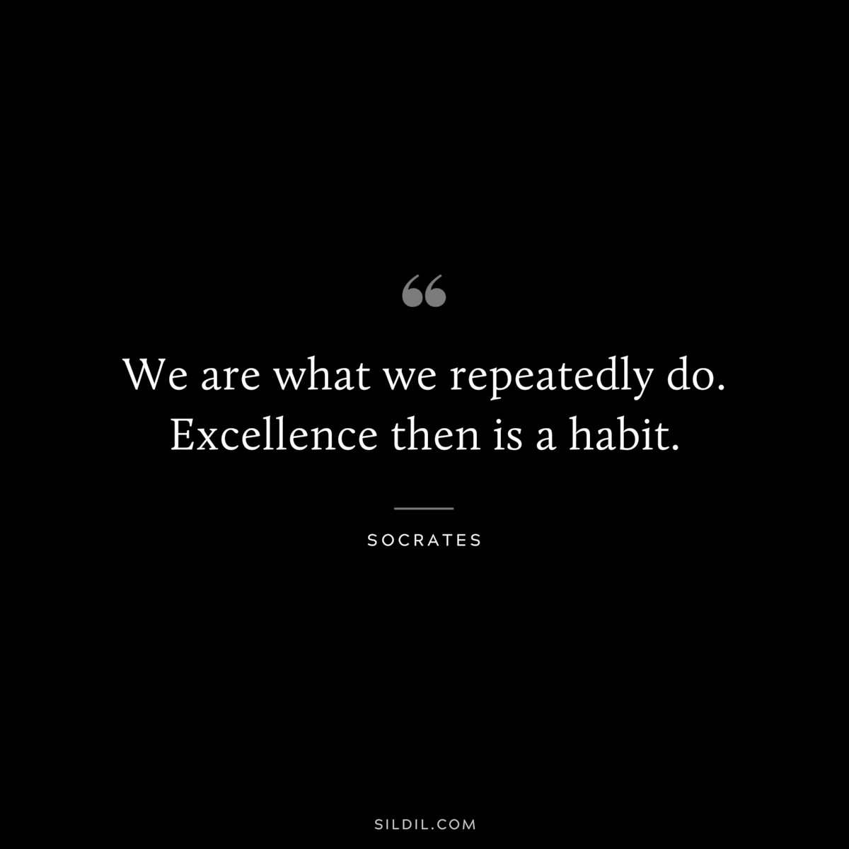 We are what we repeatedly do. Excellence then is a habit. ― Socrates