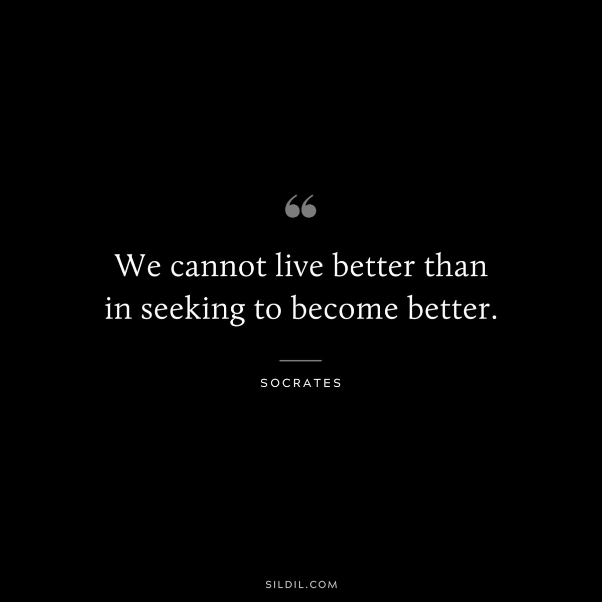 We cannot live better than in seeking to become better. ― Socrates