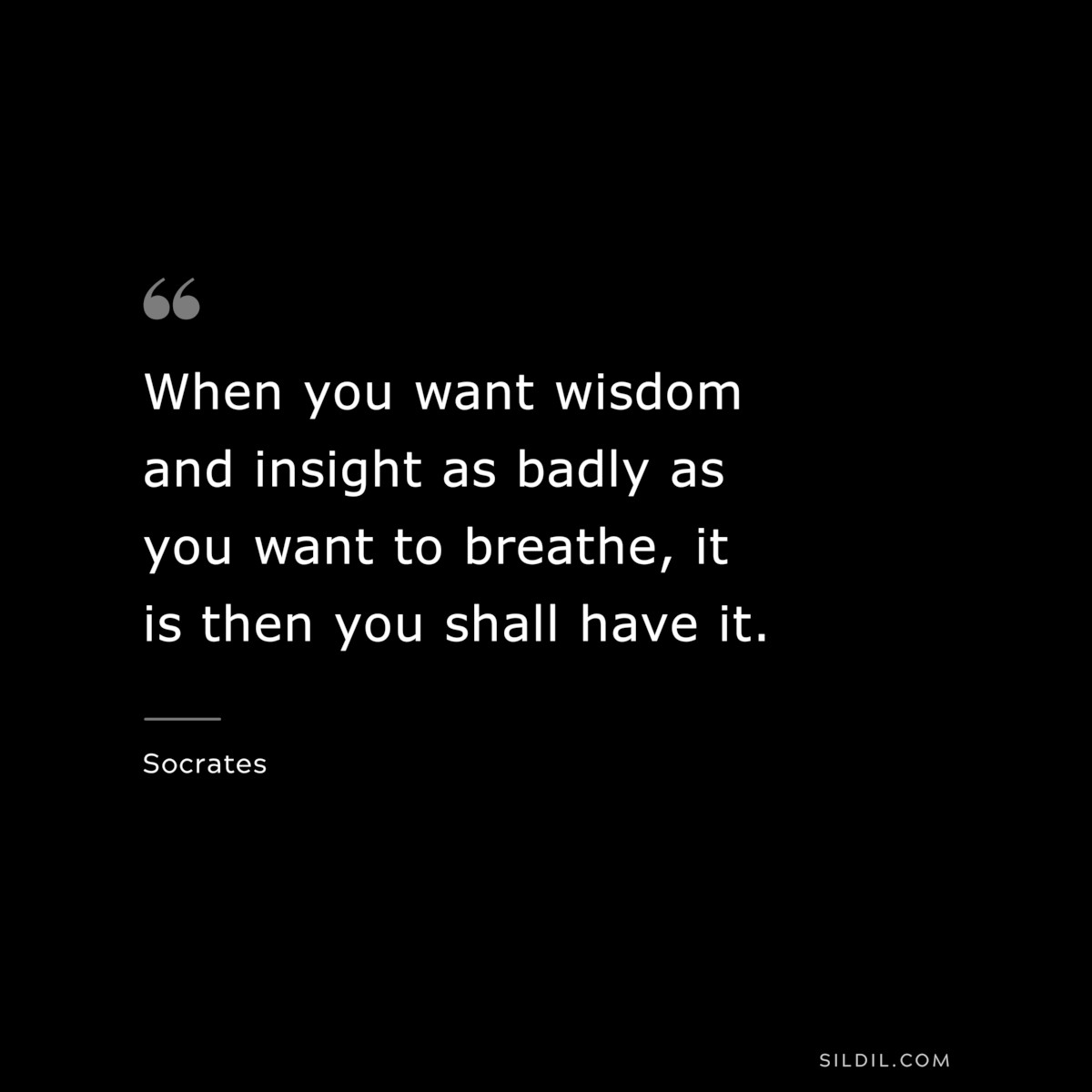 When you want wisdom and insight as badly as you want to breathe, it is then you shall have it. ― Socrates