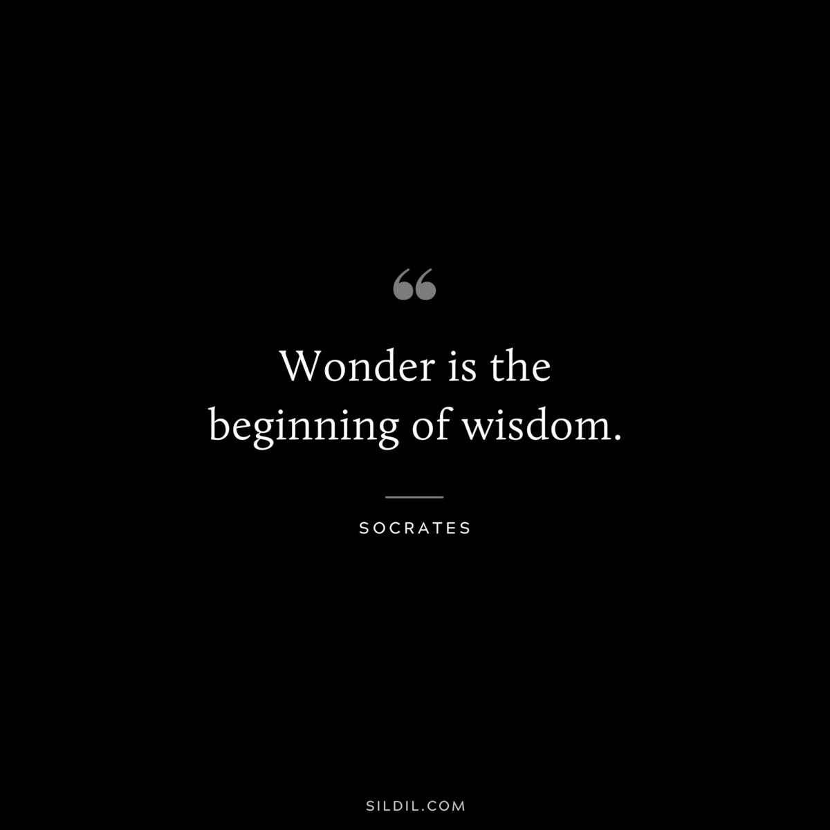 Wonder is the beginning of wisdom. ― Socrates