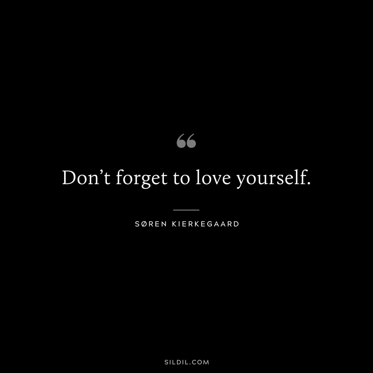 Don’t forget to love yourself. ― Søren Kierkegaard