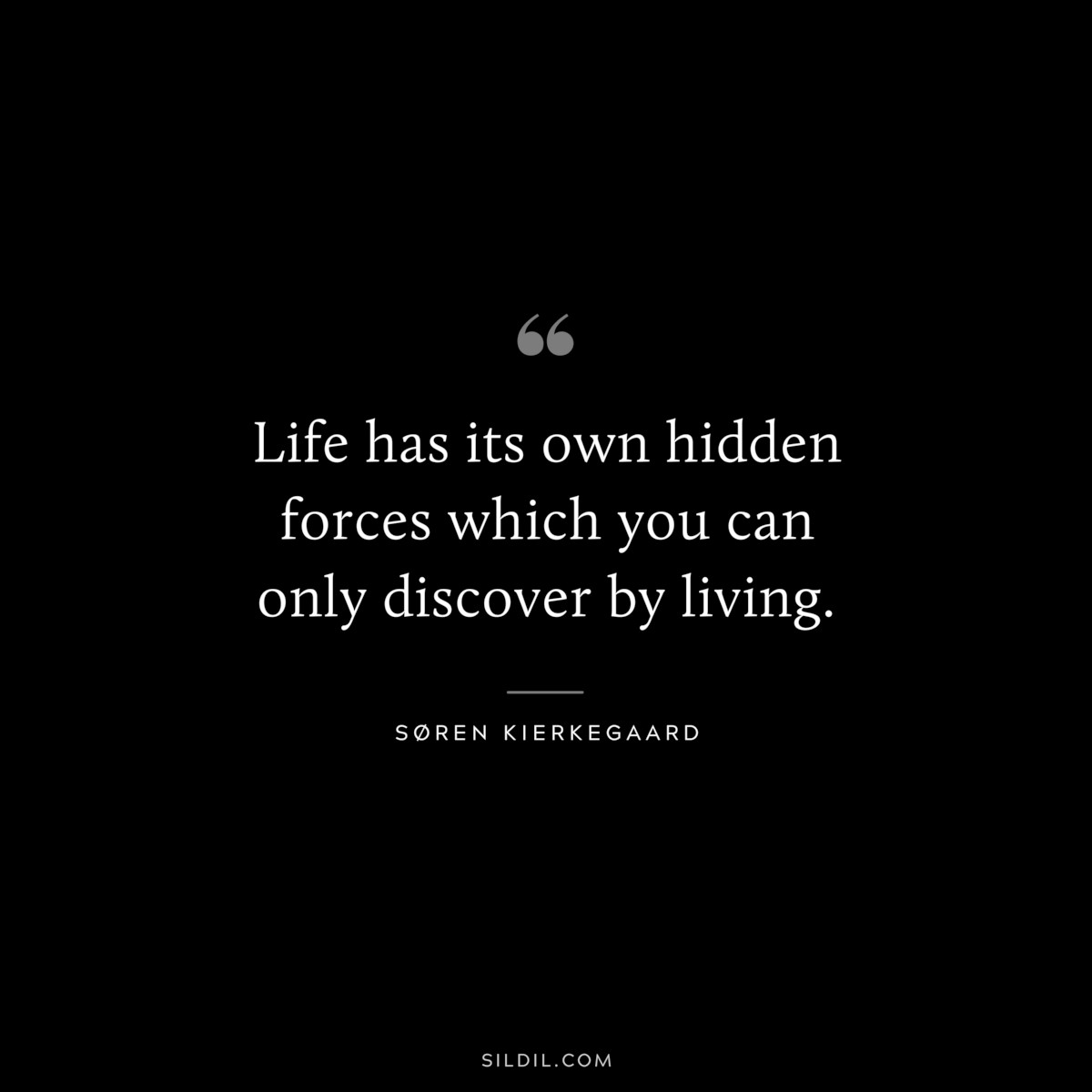 Life has its own hidden forces which you can only discover by living. ― Søren Kierkegaard