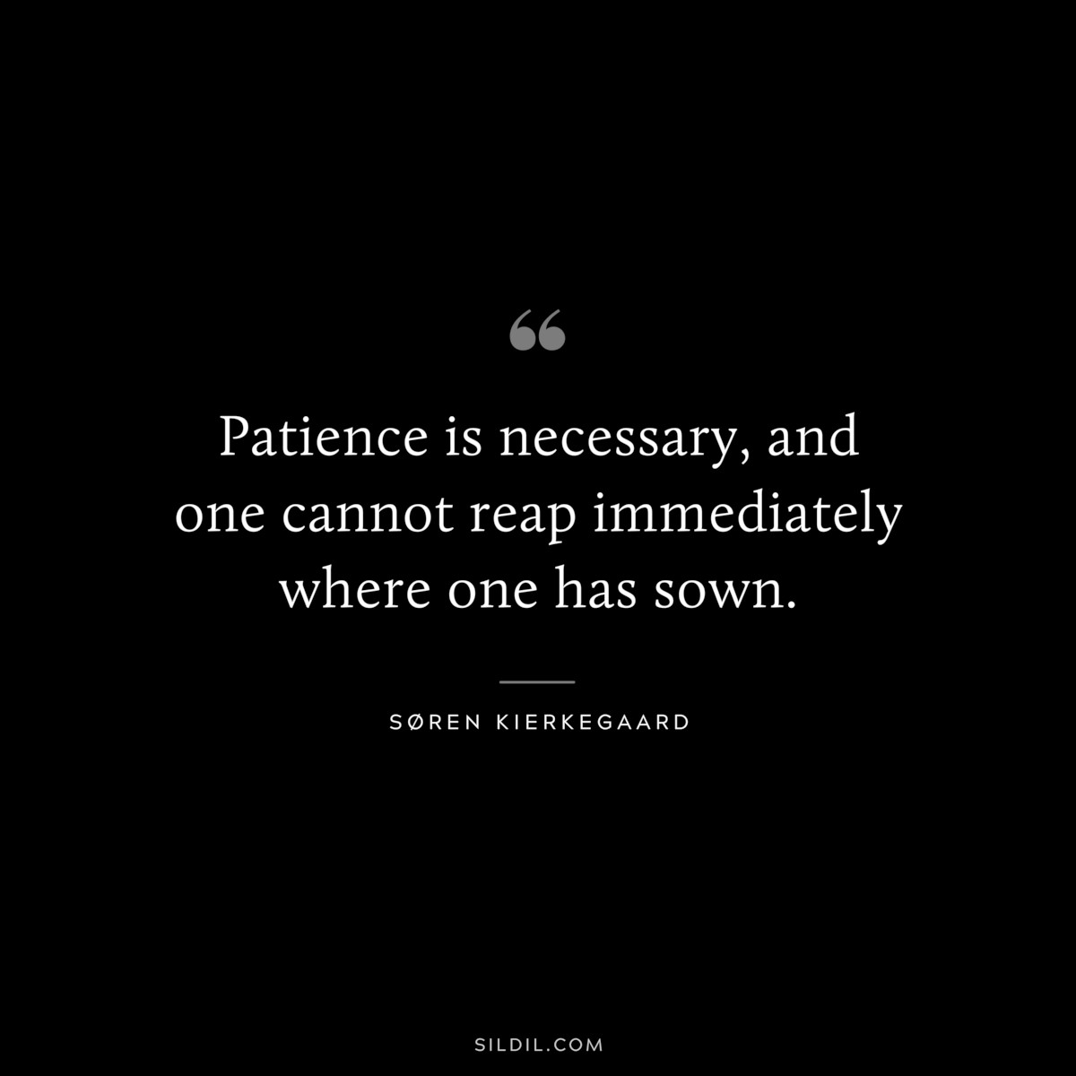 Patience is necessary, and one cannot reap immediately where one has sown. ― Søren Kierkegaard