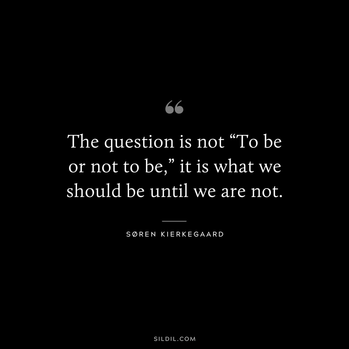The question is not “To be or not to be,” it is what we should be until we are not. ― Søren Kierkegaard