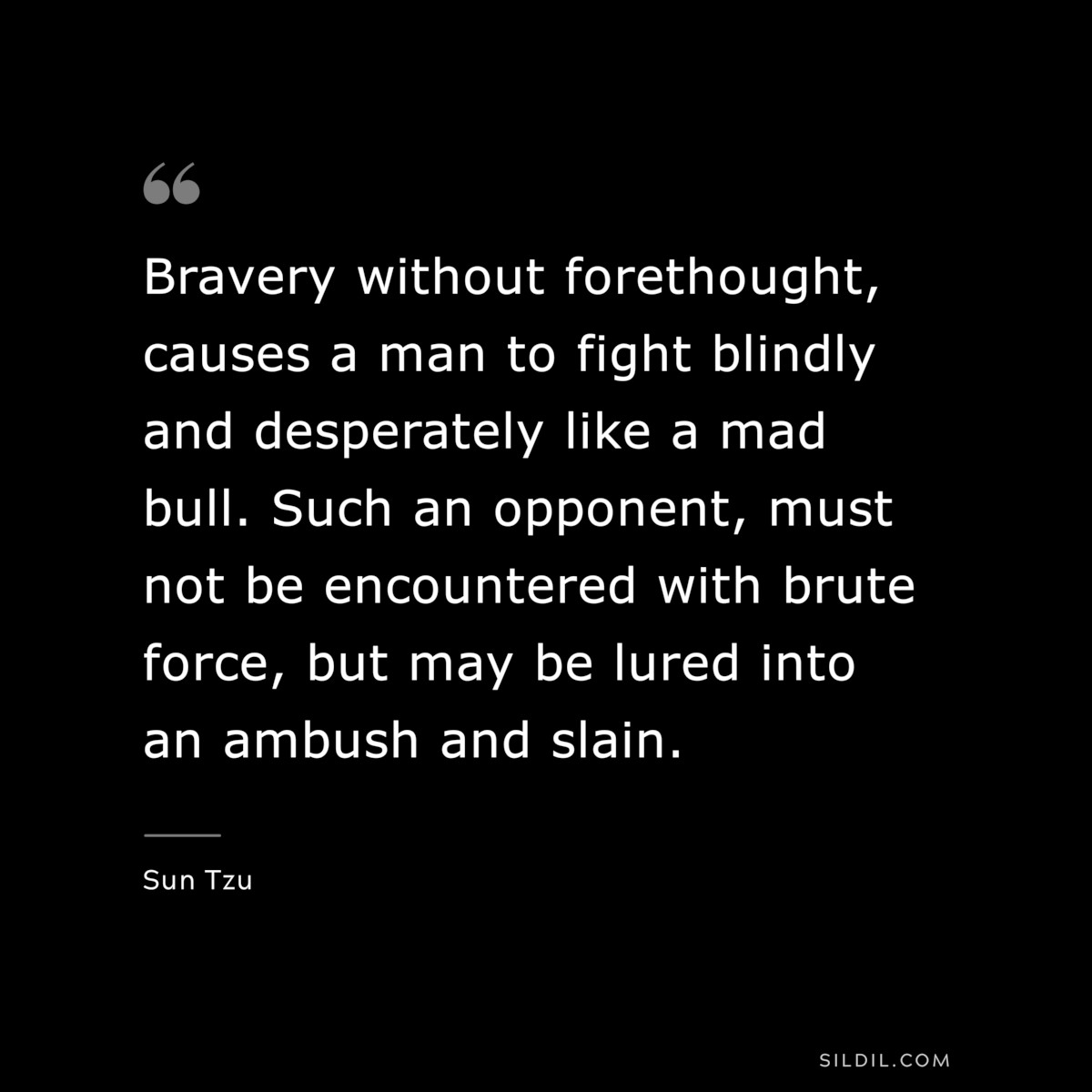 Bravery without forethought, causes a man to fight blindly and desperately like a mad bull. Such an opponent, must not be encountered with brute force, but may be lured into an ambush and slain.― Sun Tzu