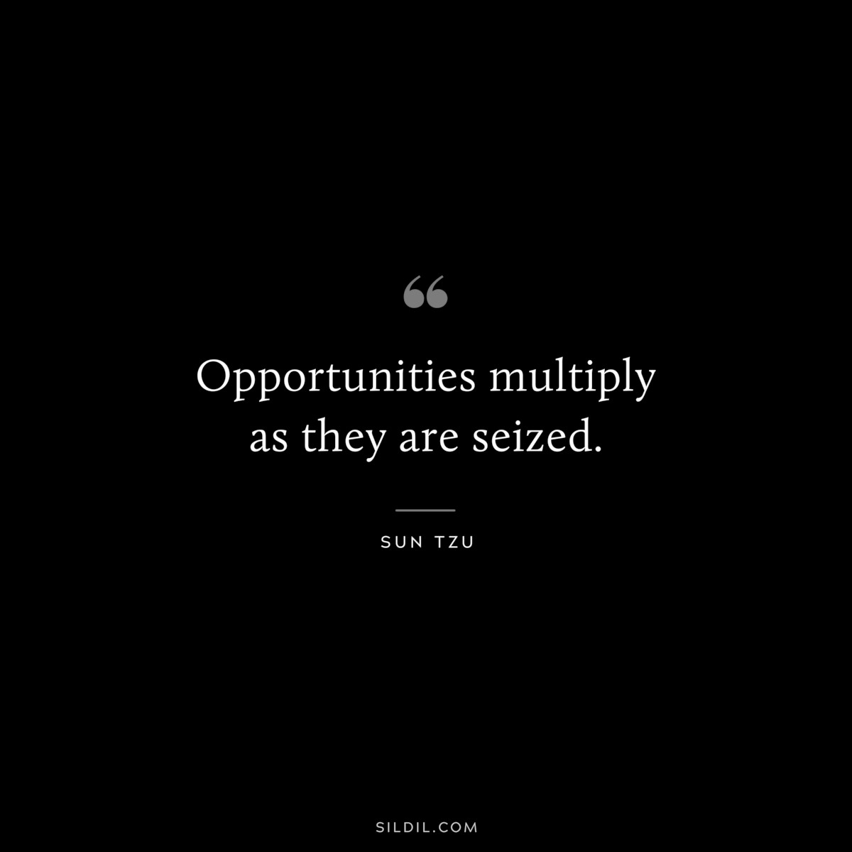 Opportunities multiply as they are seized.― Sun Tzu