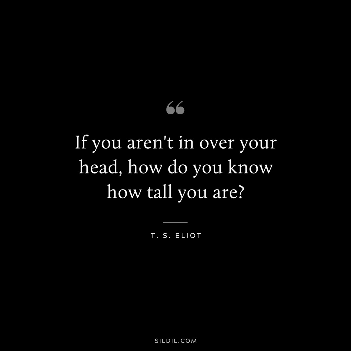 If you aren't in over your head, how do you know how tall you are? ― T. S. Eliot