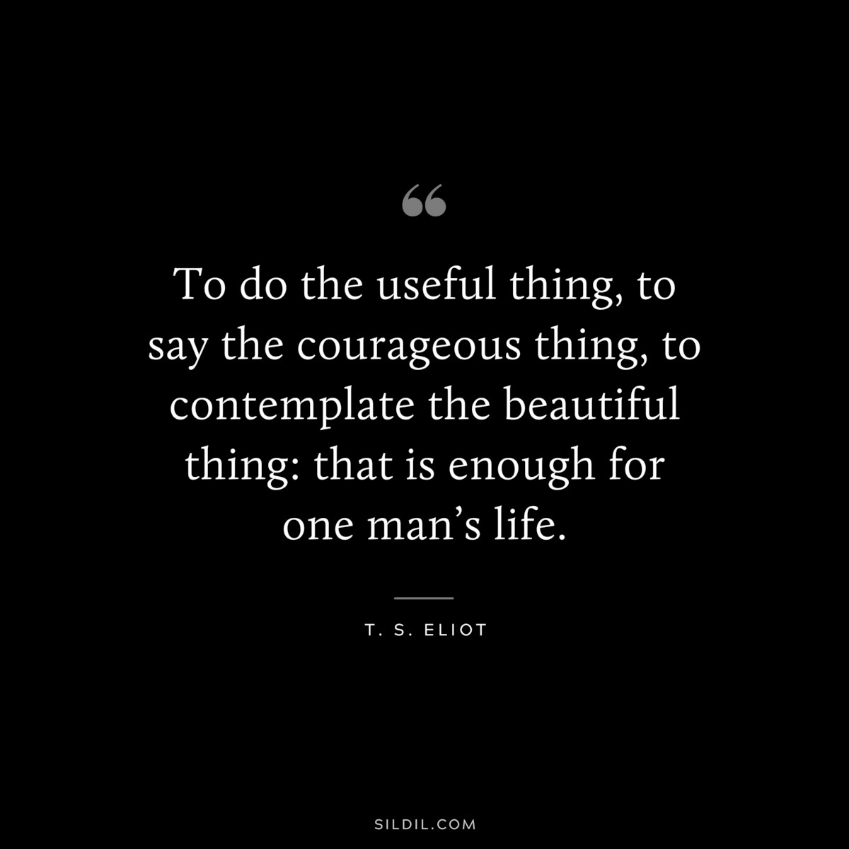 To do the useful thing, to say the courageous thing, to contemplate the beautiful thing: that is enough for one man’s life. ― T. S. Eliot