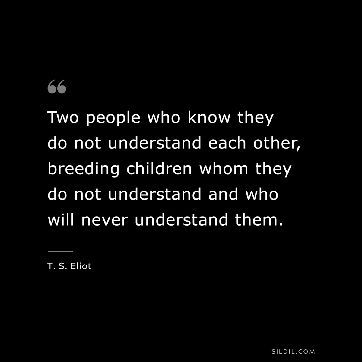 Two people who know they do not understand each other, breeding children whom they do not understand and who will never understand them. ― T. S. Eliot