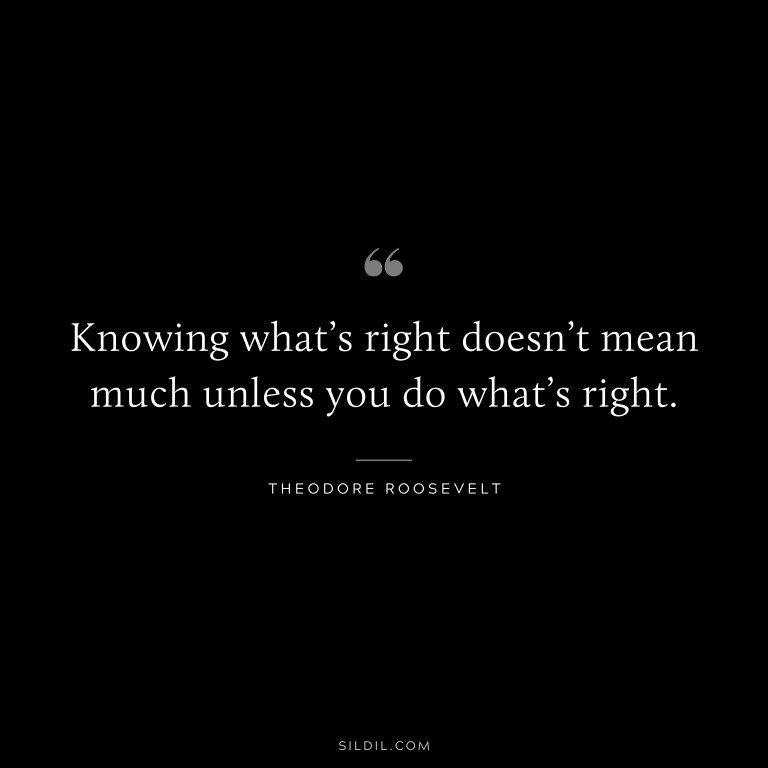 69 Inspirational Theodore Roosevelt Quotes to Believe in Yourself ...