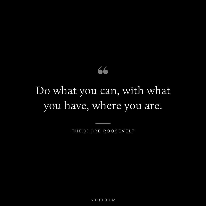 theodore roosevelt quotes do what you can