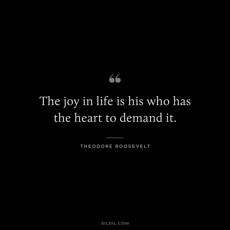The joy in life is his who has the heart to demand it.