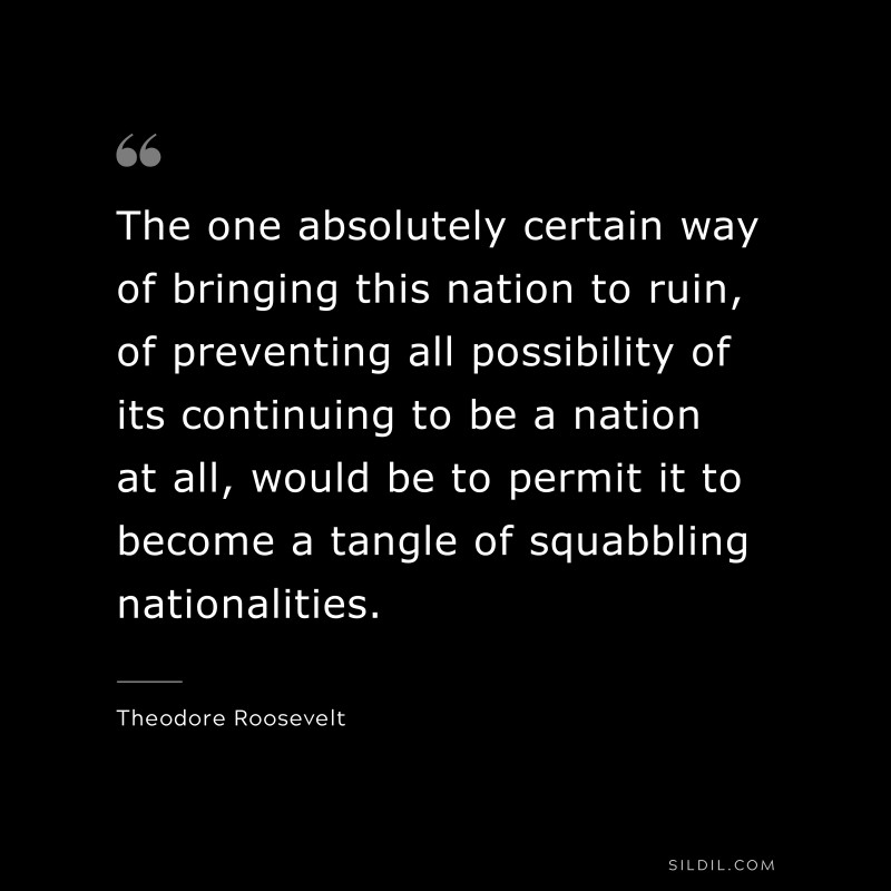 The one absolutely certain way of bringing this nation to ruin, of preventing all possibility of its continuing to be a nation at all, would be to permit it to become a tangle of squabbling nationalities.