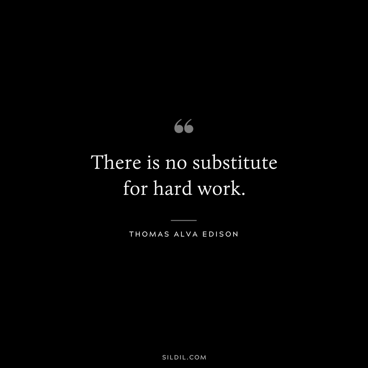There is no substitute for hard work. ― Thomas Alva Edison