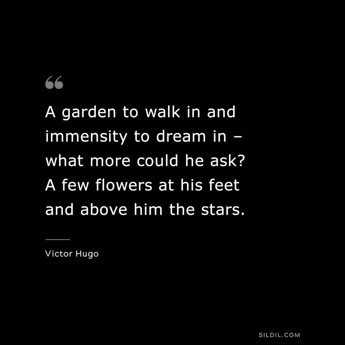 A garden to walk in and immensity to dream in – what more could he ask? A few flowers at his feet and above him the stars.― Victor Hugo