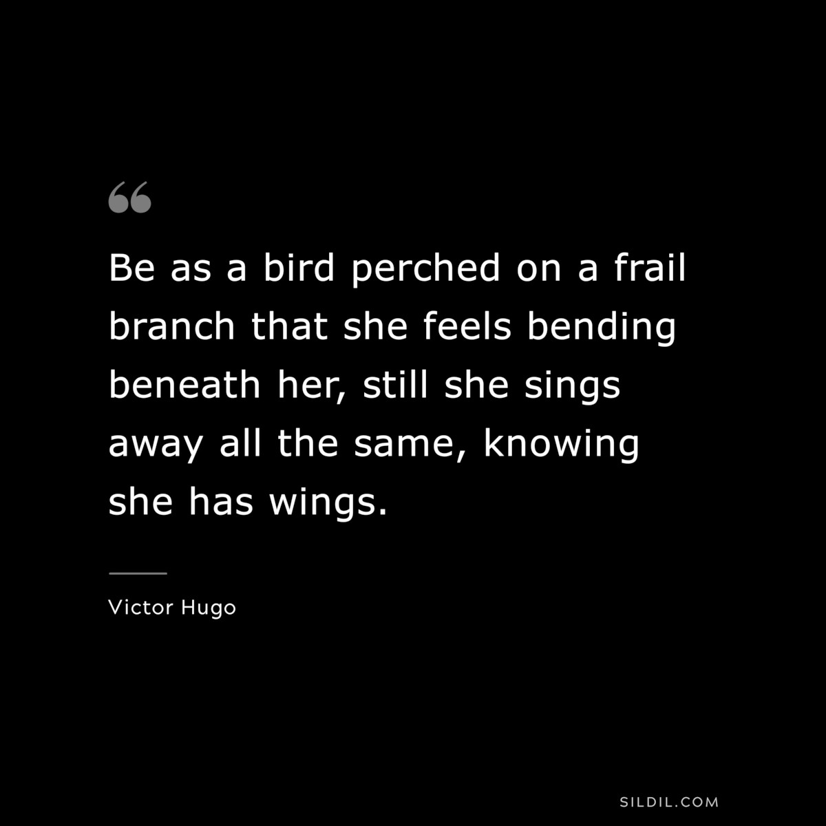 Be as a bird perched on a frail branch that she feels bending beneath her, still she sings away all the same, knowing she has wings.― Victor Hugo