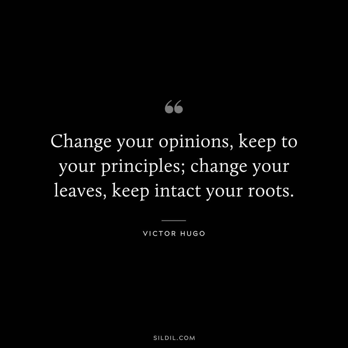 Change your opinions, keep to your principles; change your leaves, keep intact your roots.― Victor Hugo