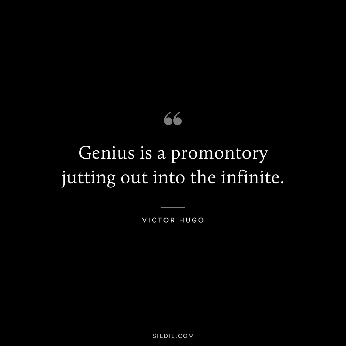 Genius is a promontory jutting out into the infinite.― Victor Hugo