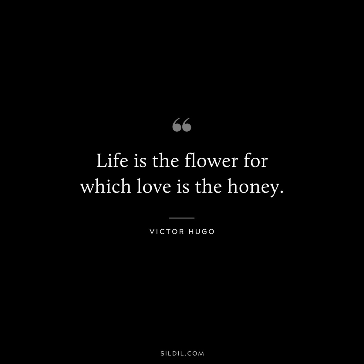 Life is the flower for which love is the honey.― Victor Hugo