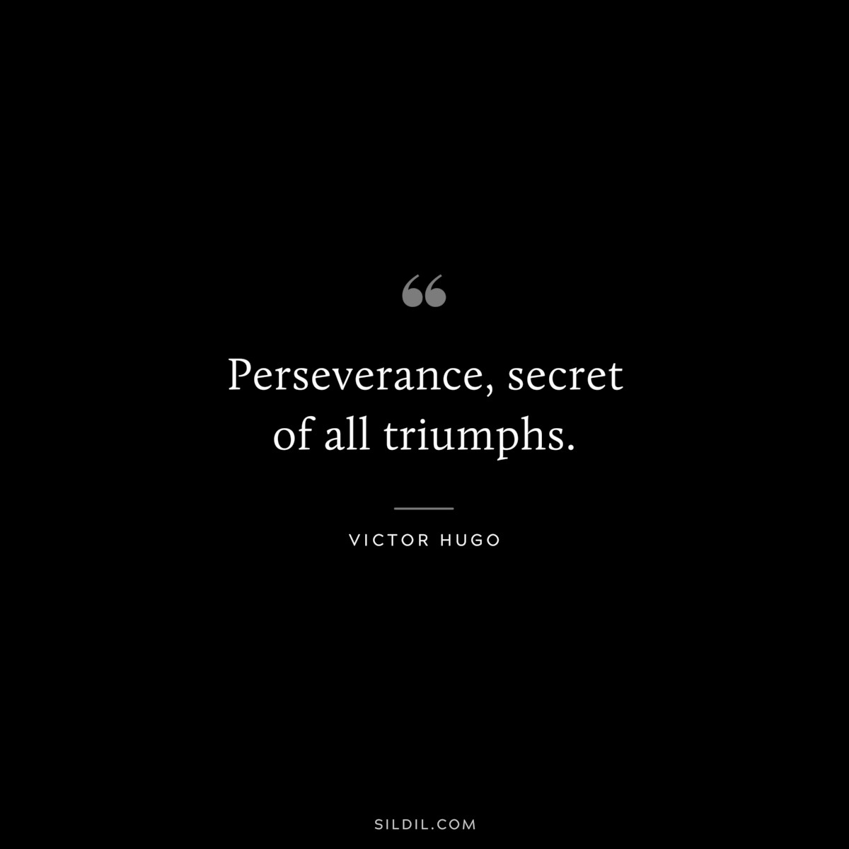 Perseverance, secret of all triumphs.― Victor Hugo