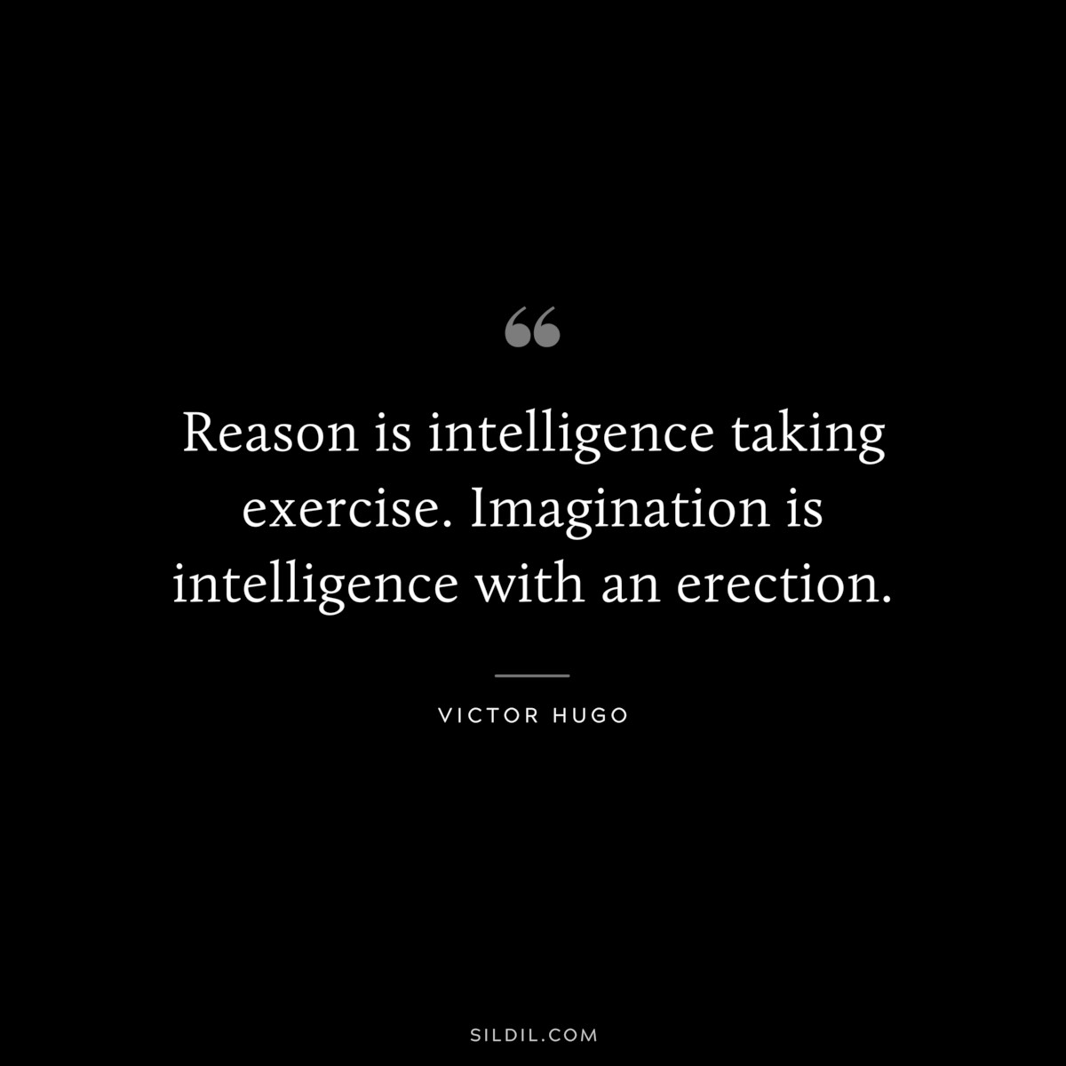 Reason is intelligence taking exercise. Imagination is intelligence with an erection.― Victor Hugo