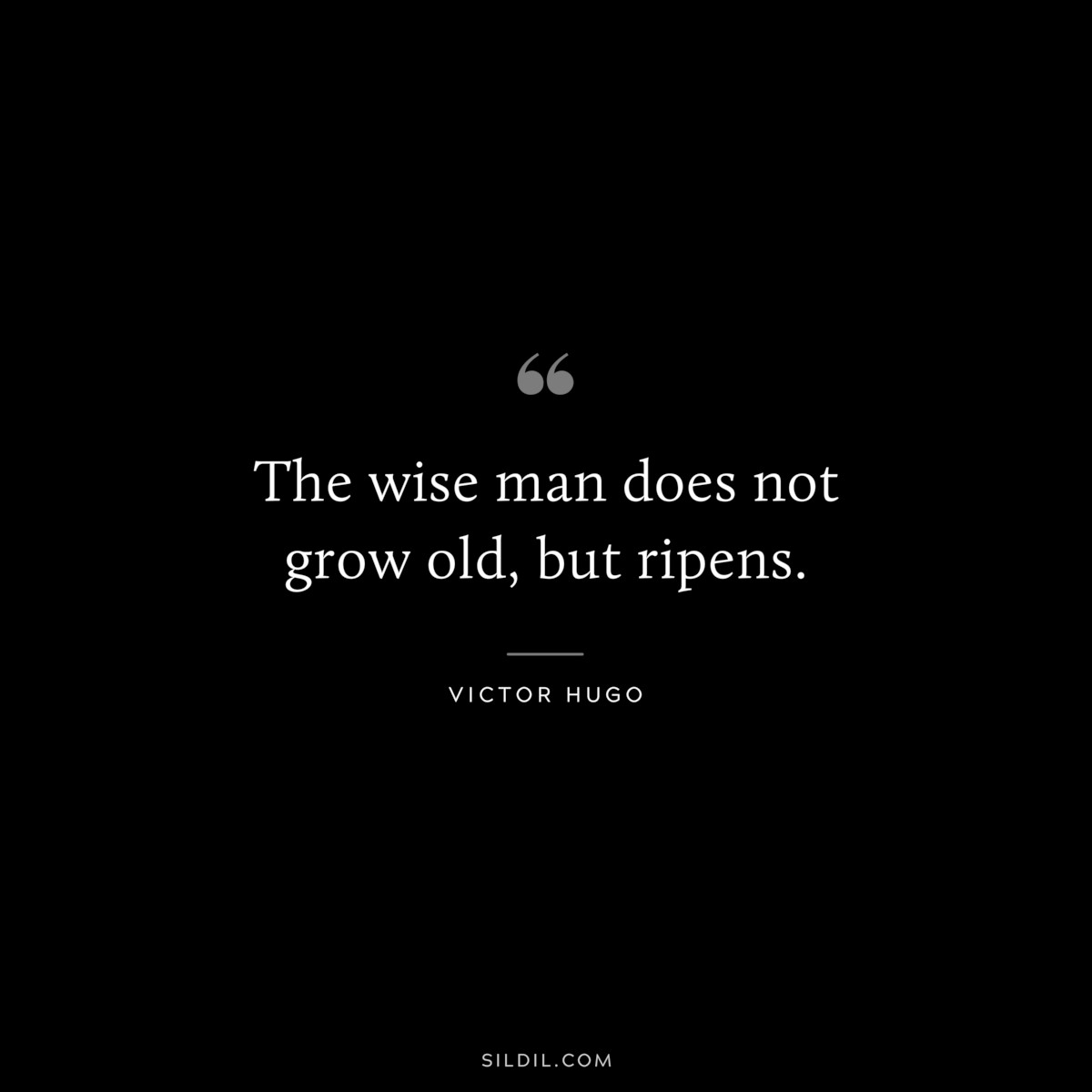 The wise man does not grow old, but ripens.― Victor Hugo