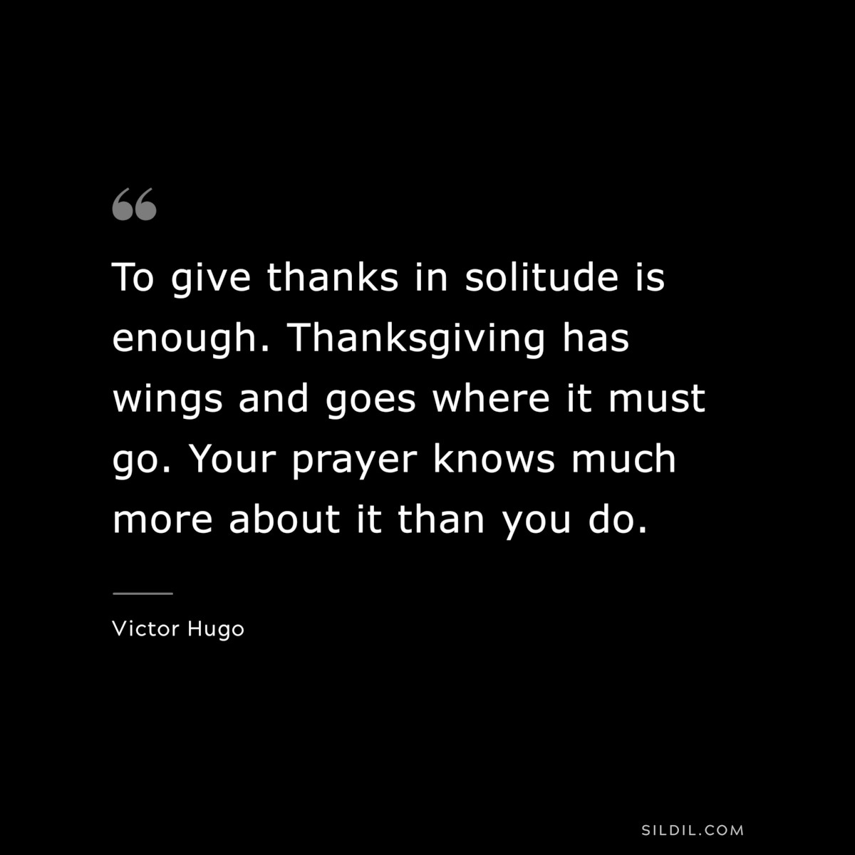 To give thanks in solitude is enough. Thanksgiving has wings and goes where it must go. Your prayer knows much more about it than you do.― Victor Hugo