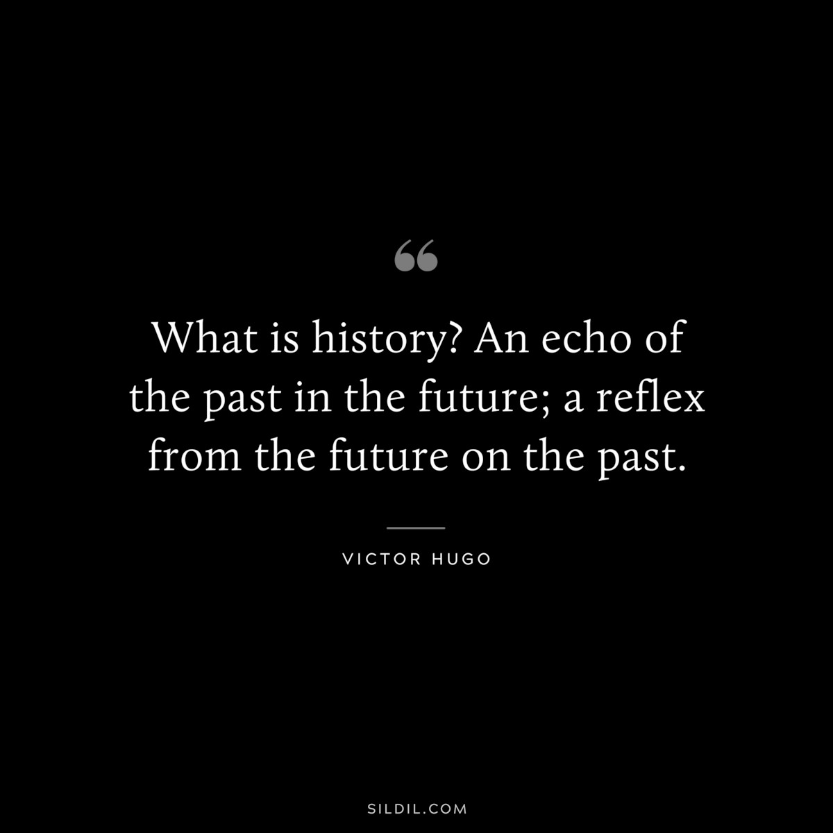 What is history? An echo of the past in the future; a reflex from the future on the past.― Victor Hugo