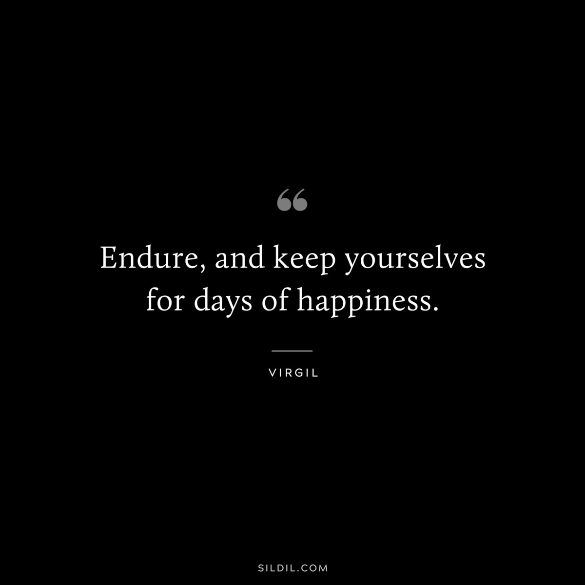 Endure, and keep yourselves for days of happiness. ― Virgil