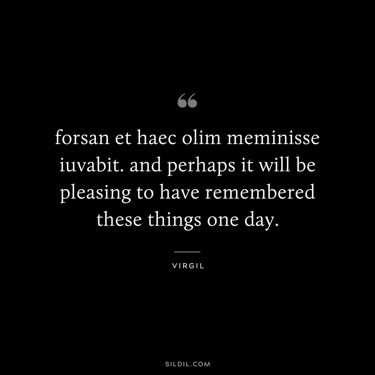 forsan et haec olim meminisse iuvabit. and perhaps it will be pleasing to have remembered these things one day. ― Virgil