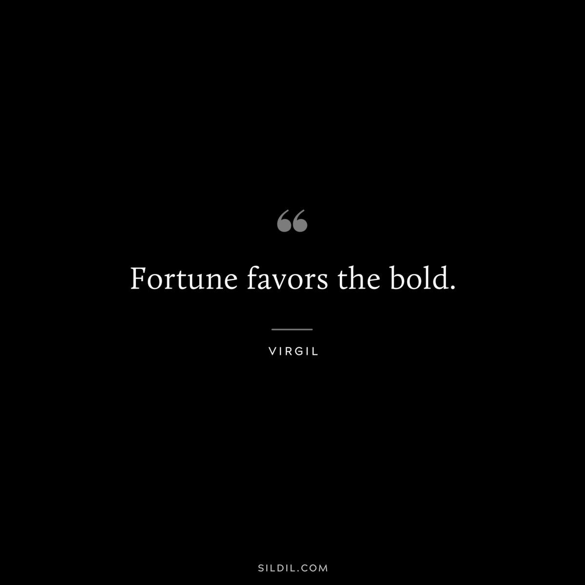 Fortune favors the bold. ― Virgil
