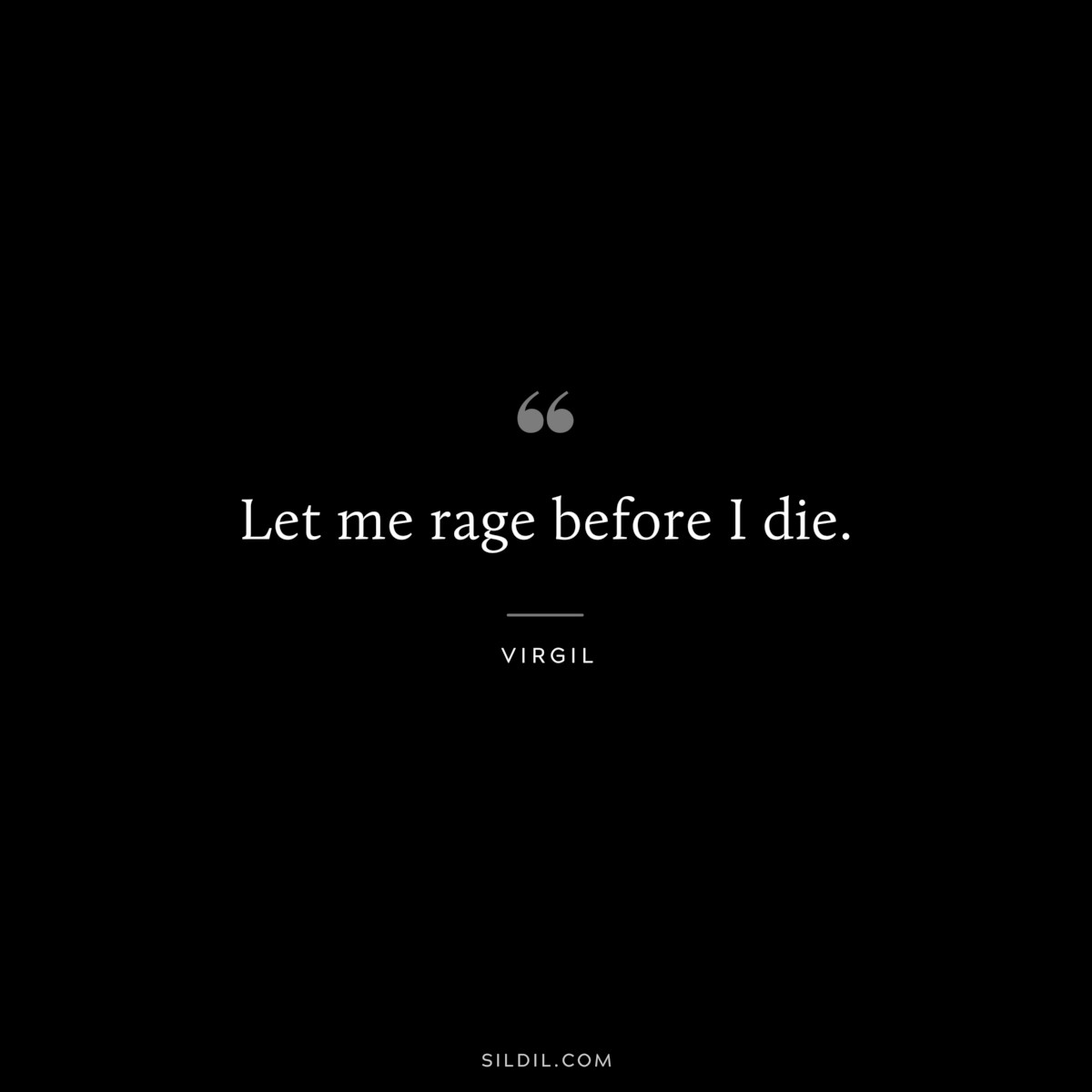 Let me rage before I die. ― Virgil