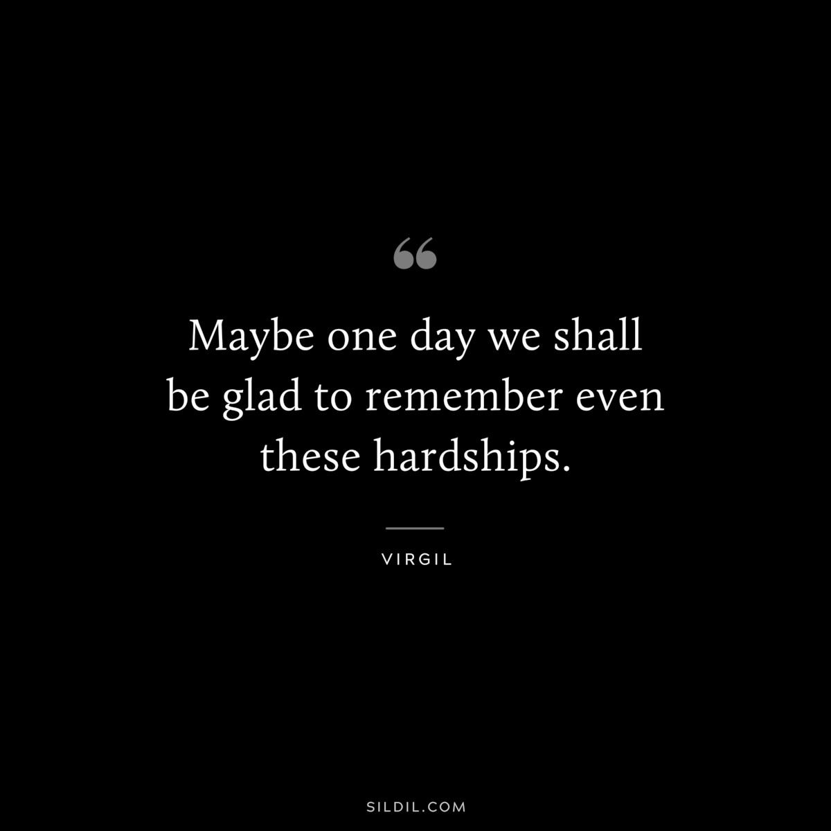 Maybe one day we shall be glad to remember even these hardships. ― Virgil
