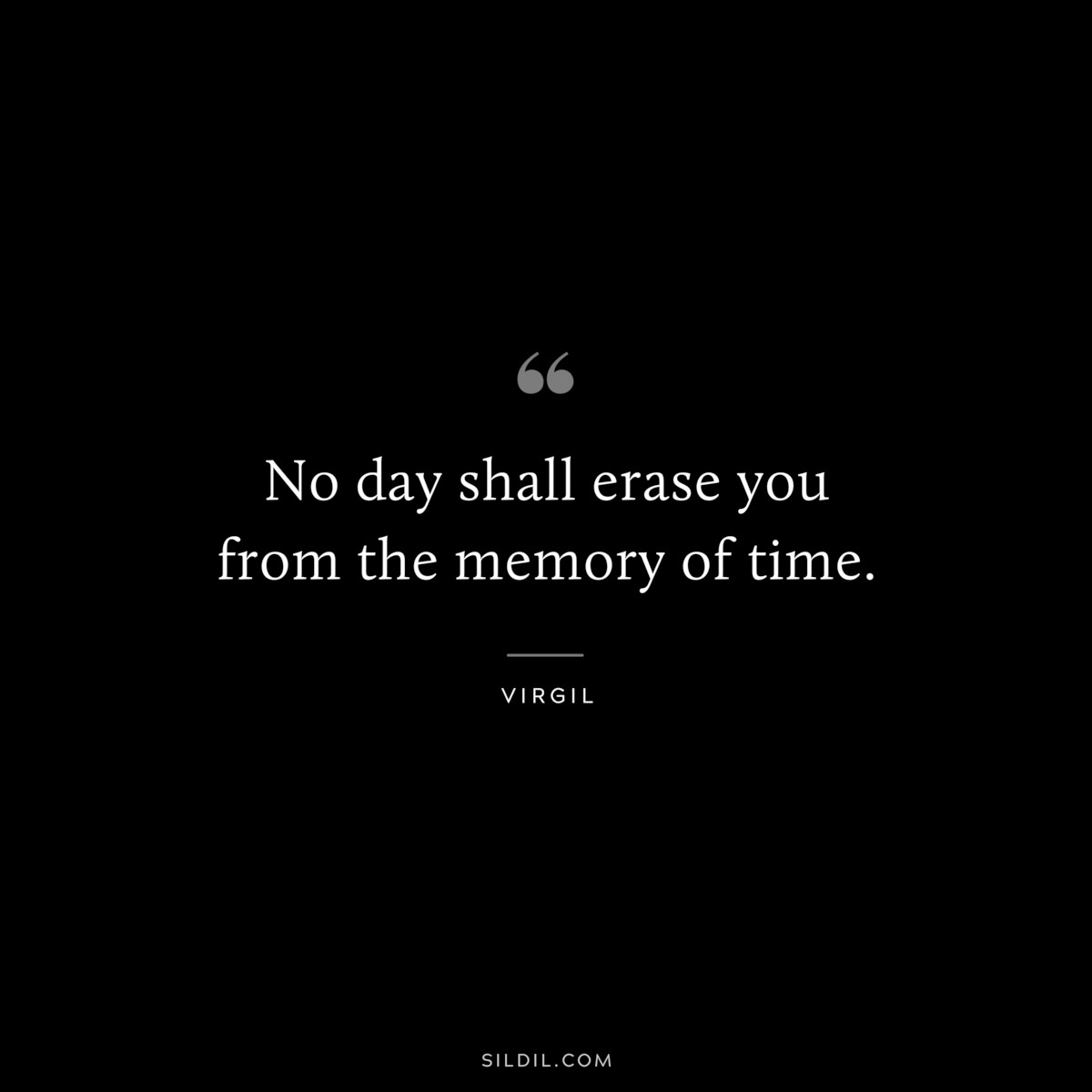 No day shall erase you from the memory of time. ― Virgil