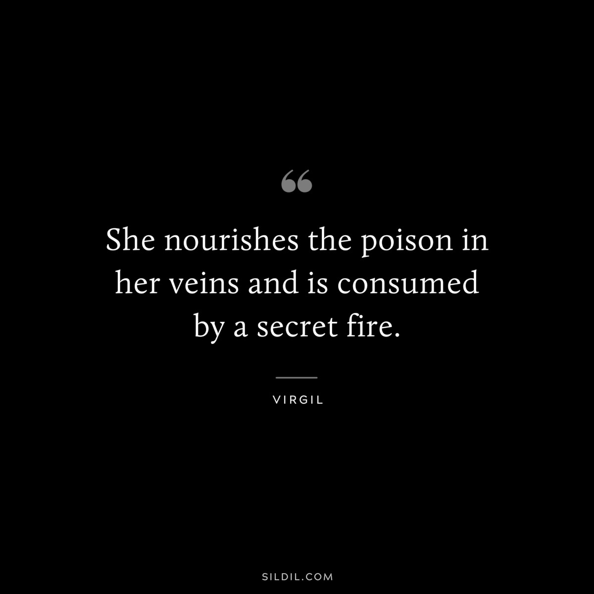 She nourishes the poison in her veins and is consumed by a secret fire. ― Virgil
