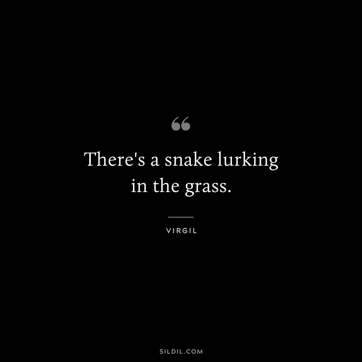There's a snake lurking in the grass. ― Virgil