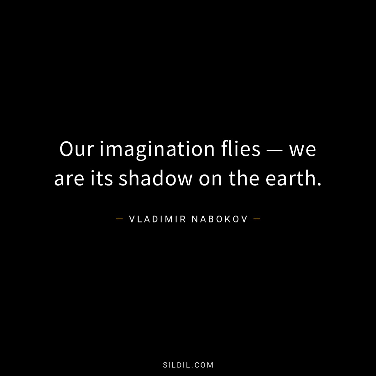 Our imagination flies — we are its shadow on the earth.