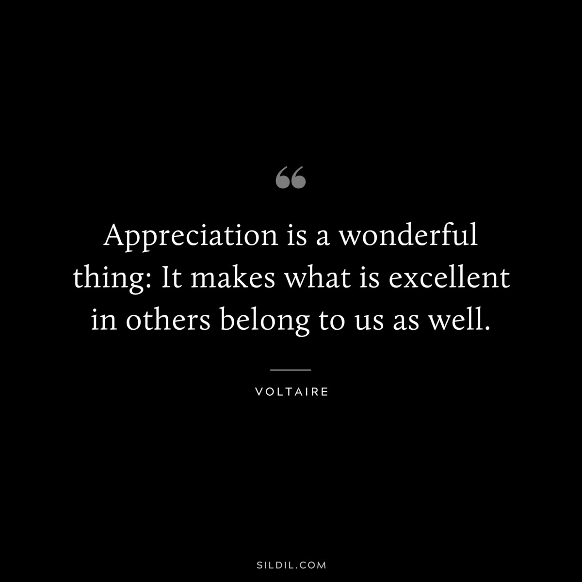 Appreciation is a wonderful thing: It makes what is excellent in others belong to us as well. ― Voltaire