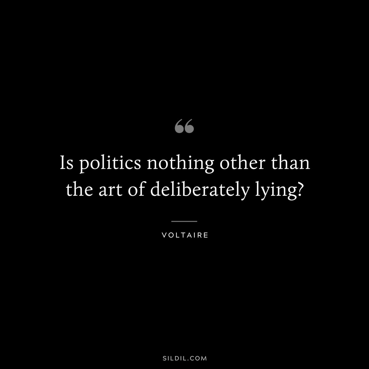 Is politics nothing other than the art of deliberately lying? ― Voltaire