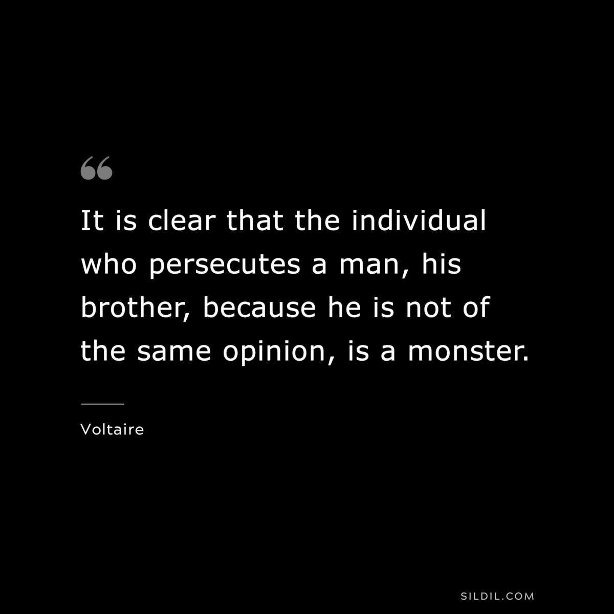 It is clear that the individual who persecutes a man, his brother, because he is not of the same opinion, is a monster. ― Voltaire