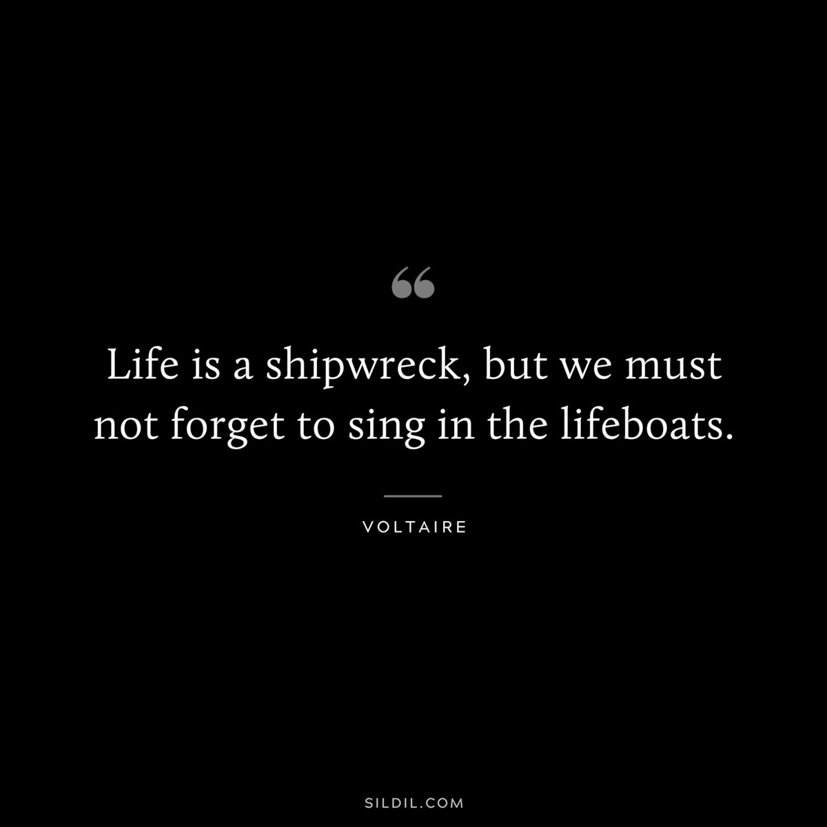 Life is a shipwreck, but we must not forget to sing in the lifeboats. ― Voltaire